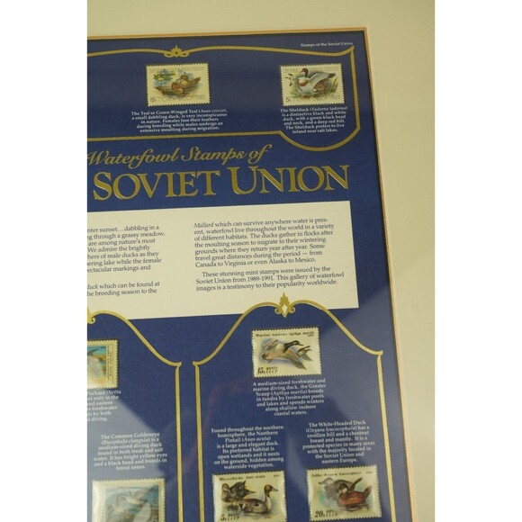 Soviet Union Waterfowl Stamps 1989-1991 | Gold-Framed Display Page | Collectible - Picture 4 of 16